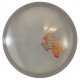 Lone Star BB6 - Founders - Emerson Keith 2023 Tour Series - Wholesale Lone Star BB6 - Founders - Emerson Keith 2023 Tour Series - Wholesale
