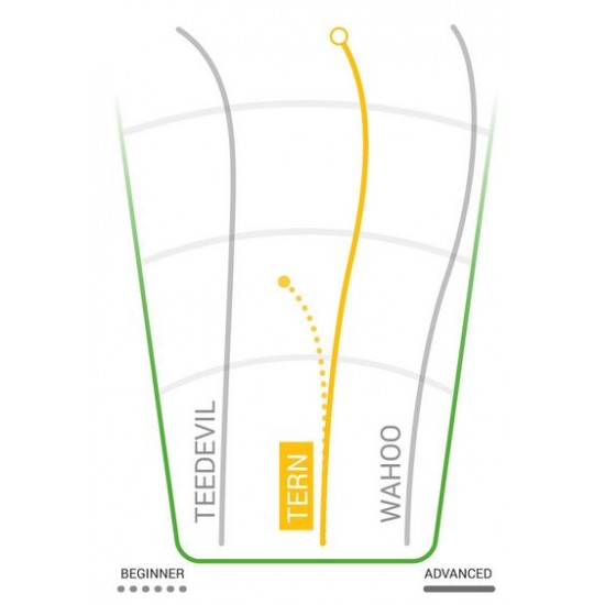Innova Tern - Champion