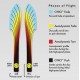 MVP Photon - Neutron