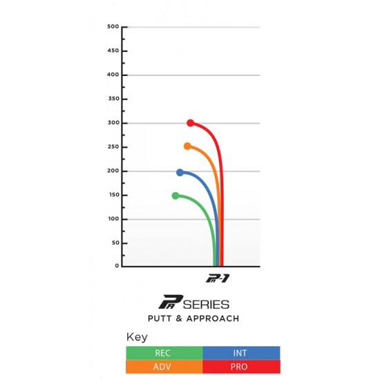 Prodigy PA1 - 300 Prodigy PA1 - 300